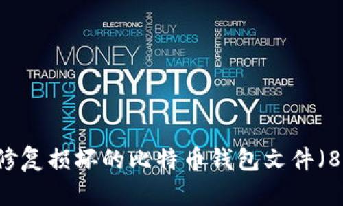 如何修复损坏的比特币钱包文件（80KB）